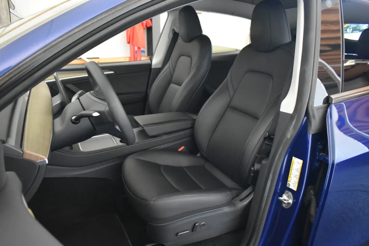 RWD Standard SOH92% el aKlep Leder Panodak Camera