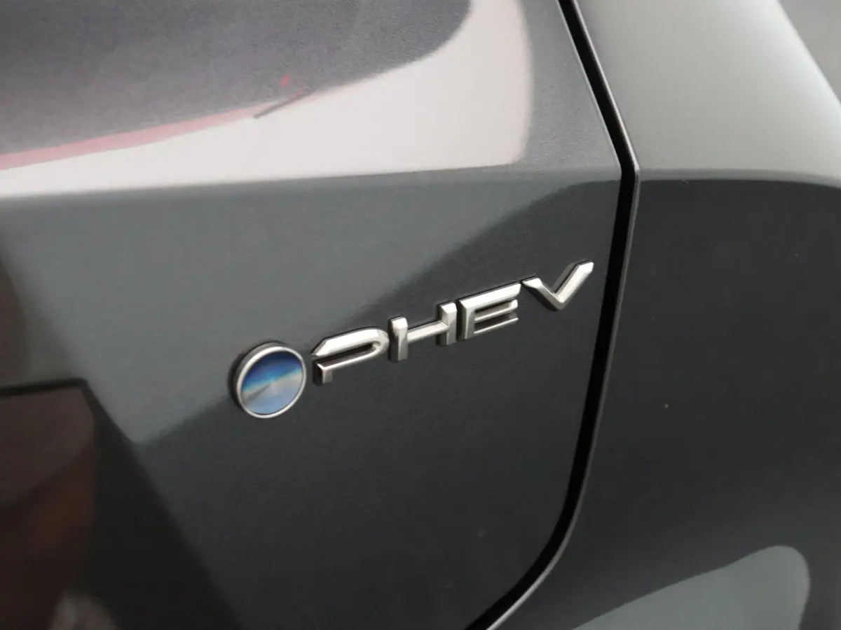 2.0 Plug-in Hybrid 220 Dynamic | Warmtepomp | Stoelverwarming | Keyless Entry |
