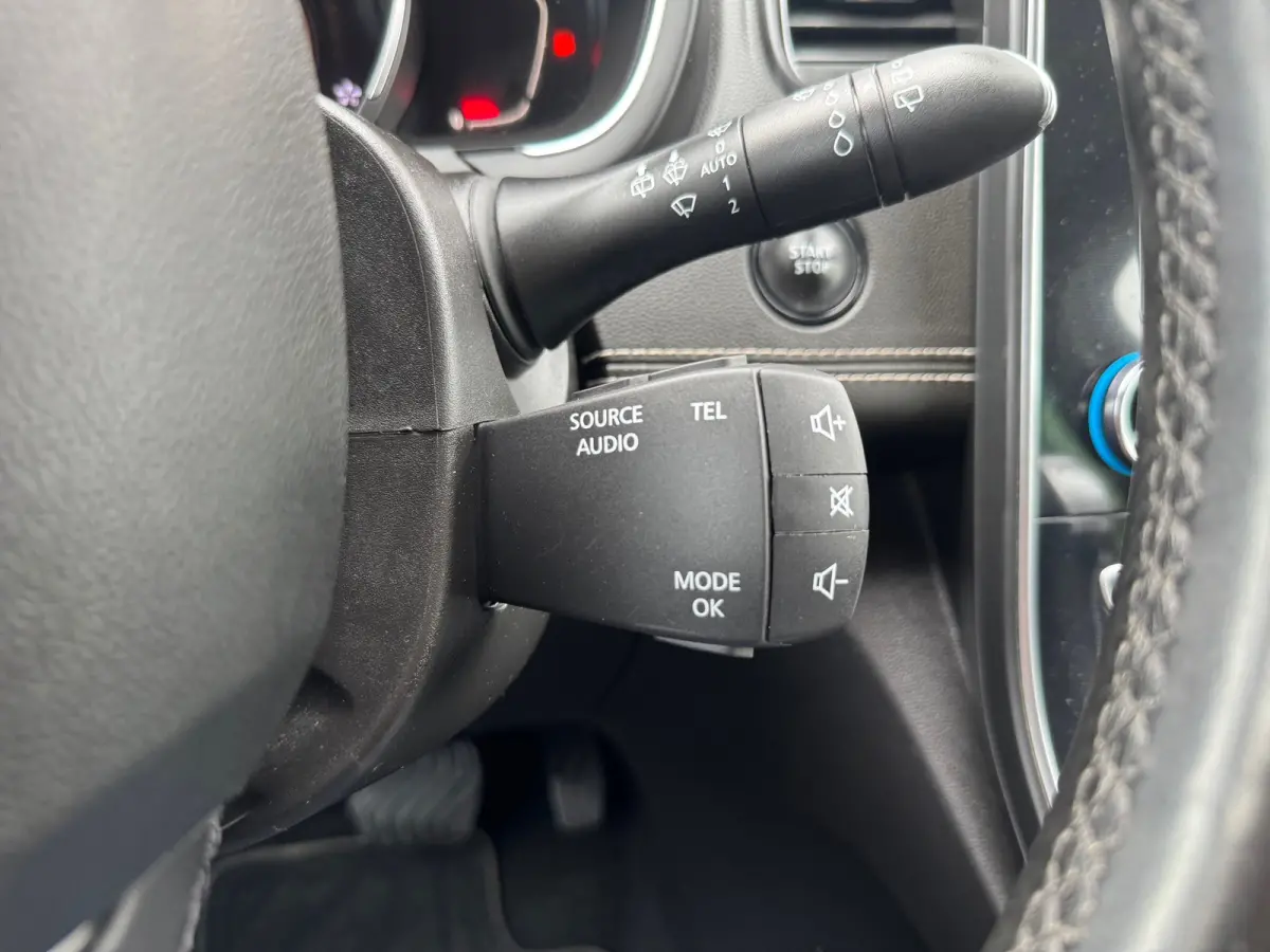 1.3 TCe Bose Automaat,7p. Audio/Navigatie,Carplay,Parksensoren/Camera,