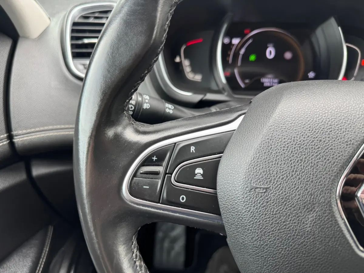 1.3 TCe Bose Automaat,7p. Audio/Navigatie,Carplay,Parksensoren/Camera,