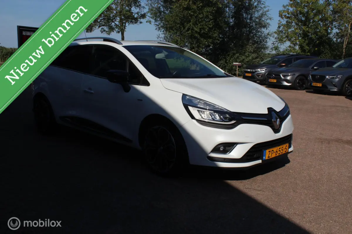 0.9 TCe Bose Climate/Navi/Stoelverw/Cruise