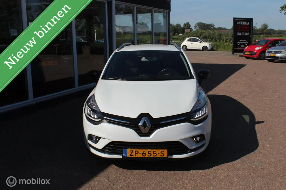 0.9 TCe Bose Climate/Navi/Stoelverw/Cruise