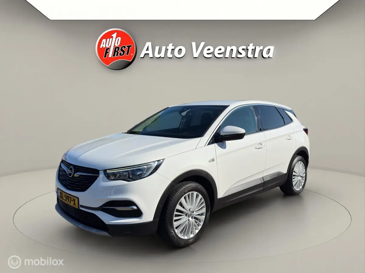 Opel Grandland X 2019 Benzine Automatisch leasen