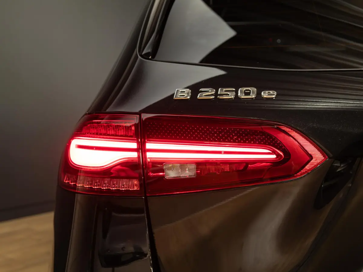 250 e Business Solution AMG Premium PLUS | Panorama dak | Trekhaak