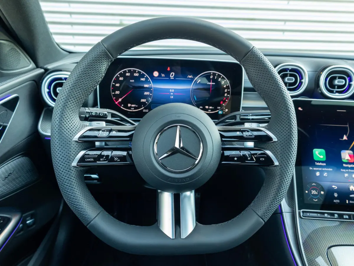 300 e Business Solution AMG Panorama dak | Trekhaak