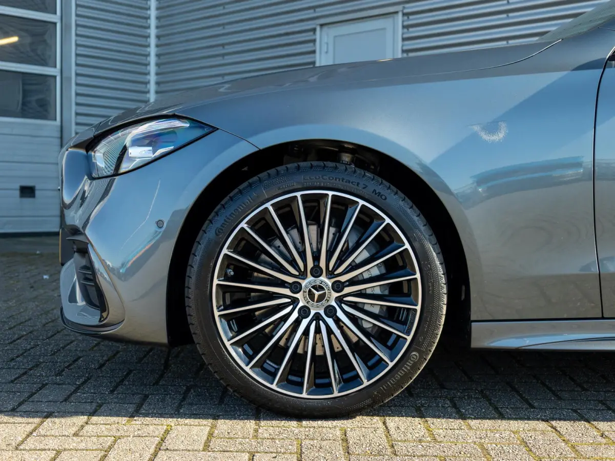300 e Business Solution AMG Panorama dak | Trekhaak