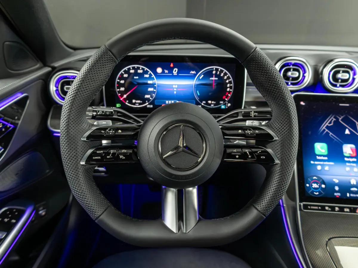 300 e Business Solution AMG | Panorama dak