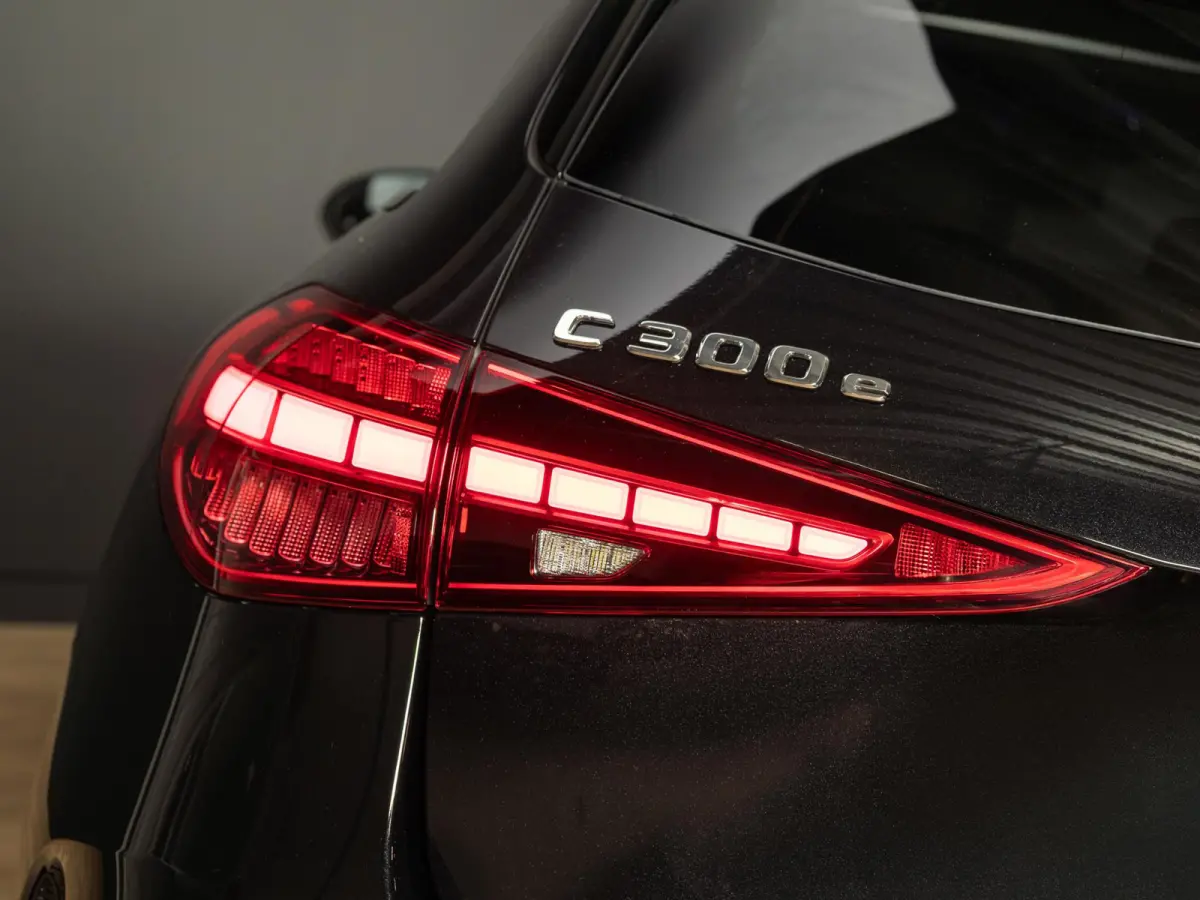 300 e Business Solution AMG | Panorama dak
