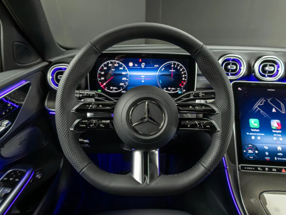 300 e Business Solution AMG Premium | Panorama dak | Trekhaak