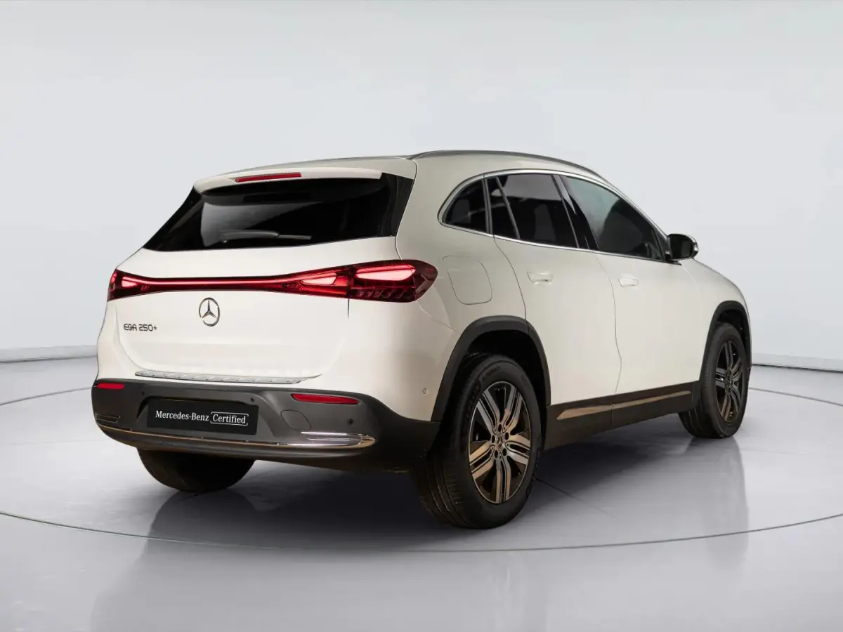 250+ Luxury Line 71 kWh | Panorama dak