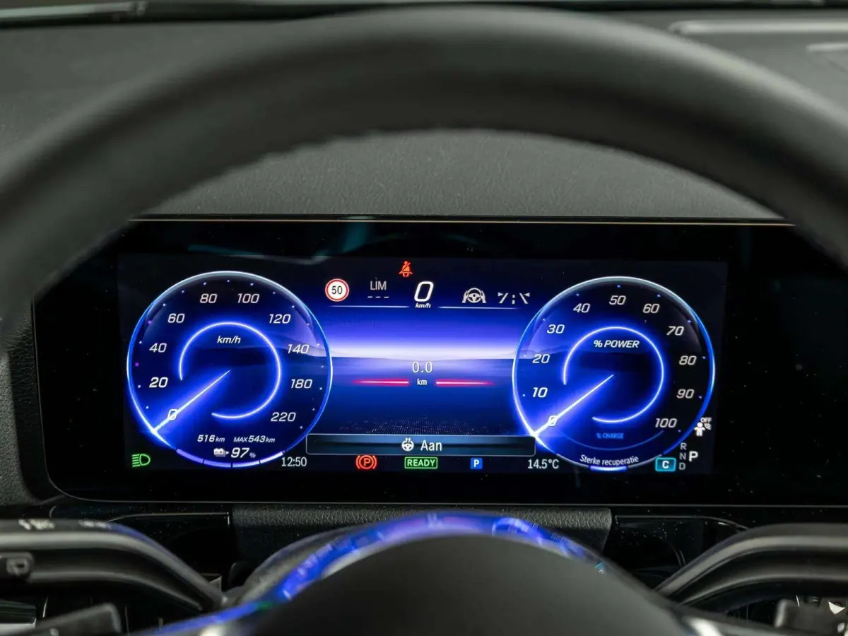 250+ Luxury Line 71 kWh | Panorama dak
