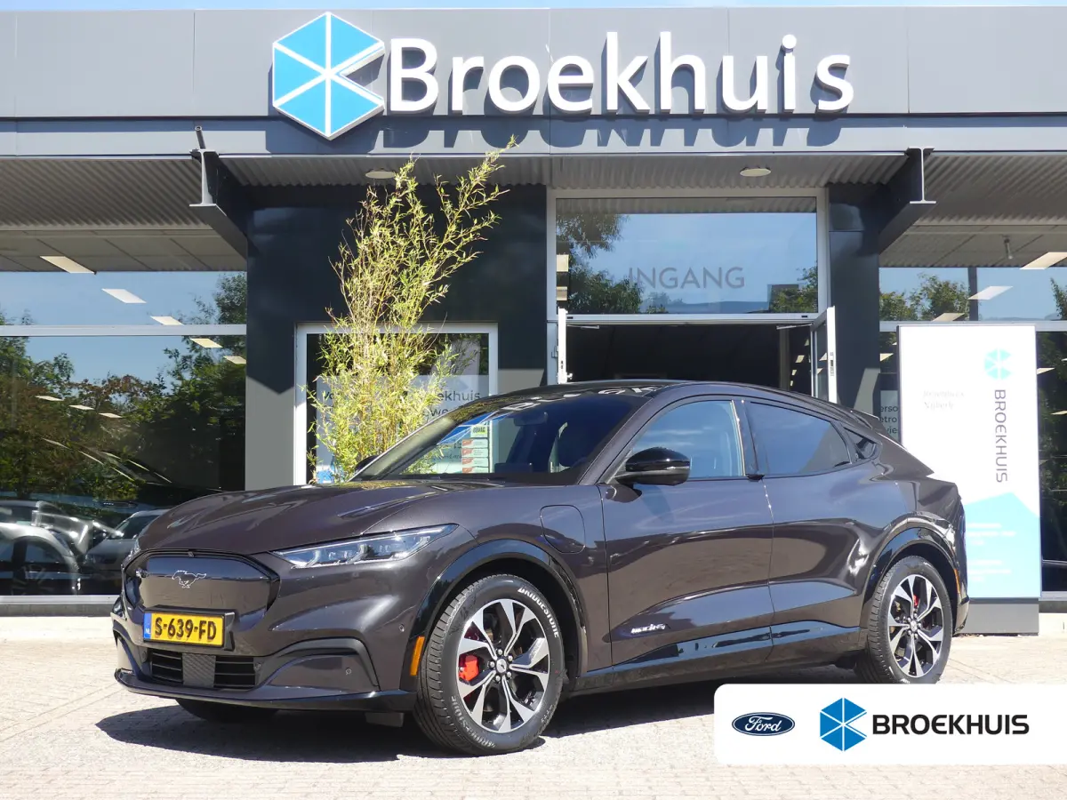 Extended Premium AWD 98 kWh | SOH 93% | PANORAMADAK | ADAPTIVE CRUISE | DODEHOEKDETECTIE | CAMERA | 360 CAMERA | STUUR+STOEL+VOORRUITVERWARMING | PARKEERSENSOREN V+A | B&O AUDIO | ELEKTRISCH