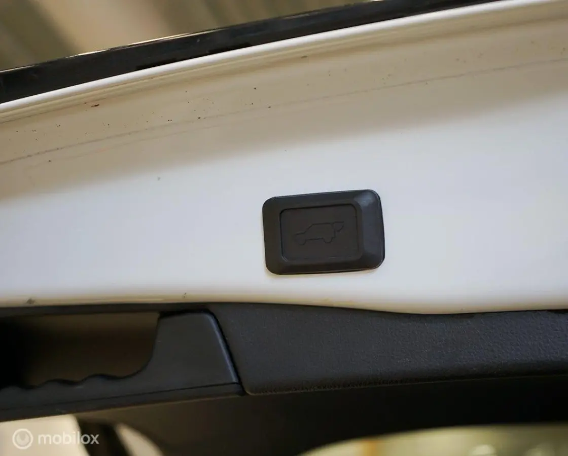 2.5 Plug-in Hybrid AWD Style, trekhaak