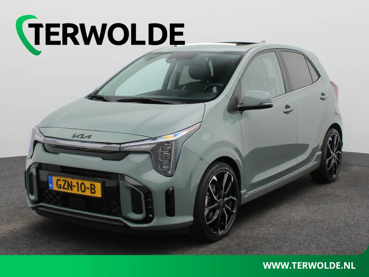 1.0 DPI GT-Line l Schuifdak l Stoel- & stuurverwarming l Parkeercamera