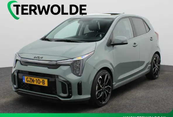1.0 DPI GT-Line l Schuifdak l Stoel- & stuurverwarming l Parkeercamera