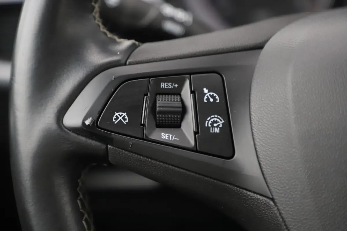 1.2 Business Executive 110PK Trekhaak Navigatie Achteruitrijcamera Carplay Android Climate & Cruise Control Donkere Ramen