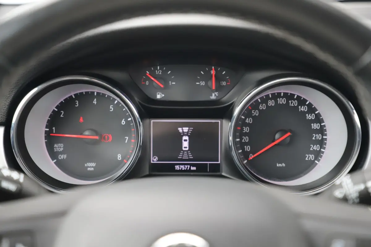 1.2 Business Executive 110PK Trekhaak Navigatie Achteruitrijcamera Carplay Android Climate & Cruise Control Donkere Ramen