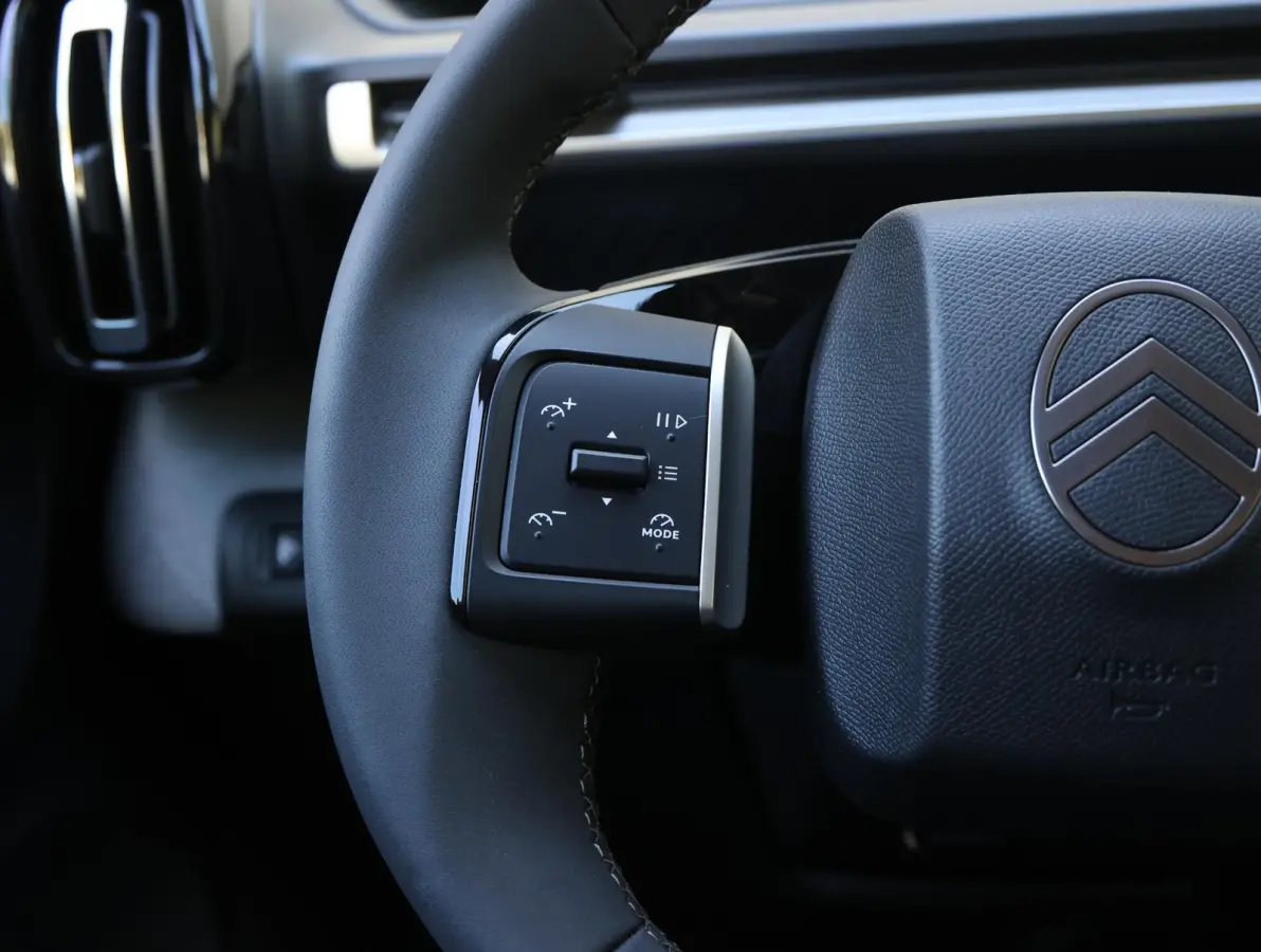 Max 113pk Comfort Range 44 kWh | Navigatie | Apple en Android | Climate control | Achteruitrijcamera