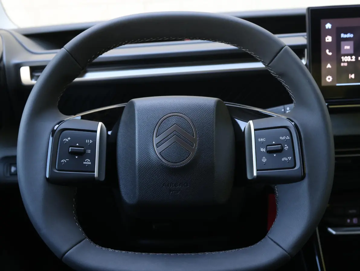 Max 113pk Comfort Range 44 kWh | Navigatie | Apple en Android | Climate control | Achteruitrijcamera