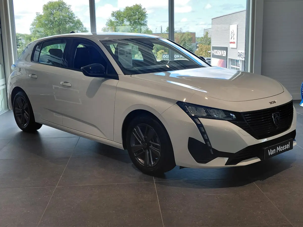 1.2 PureTech Active Pack Business | Apple Carplay/Android Auto | Climate control | Parkeersensoren