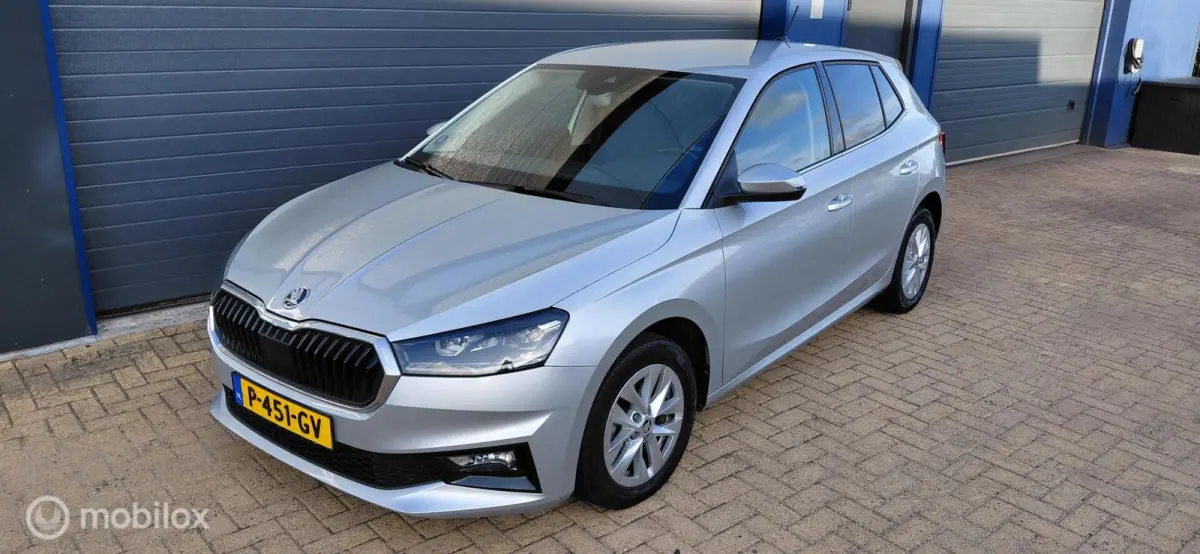 1.0 TSI ,Stoelverw,Led,Lichtmetaal