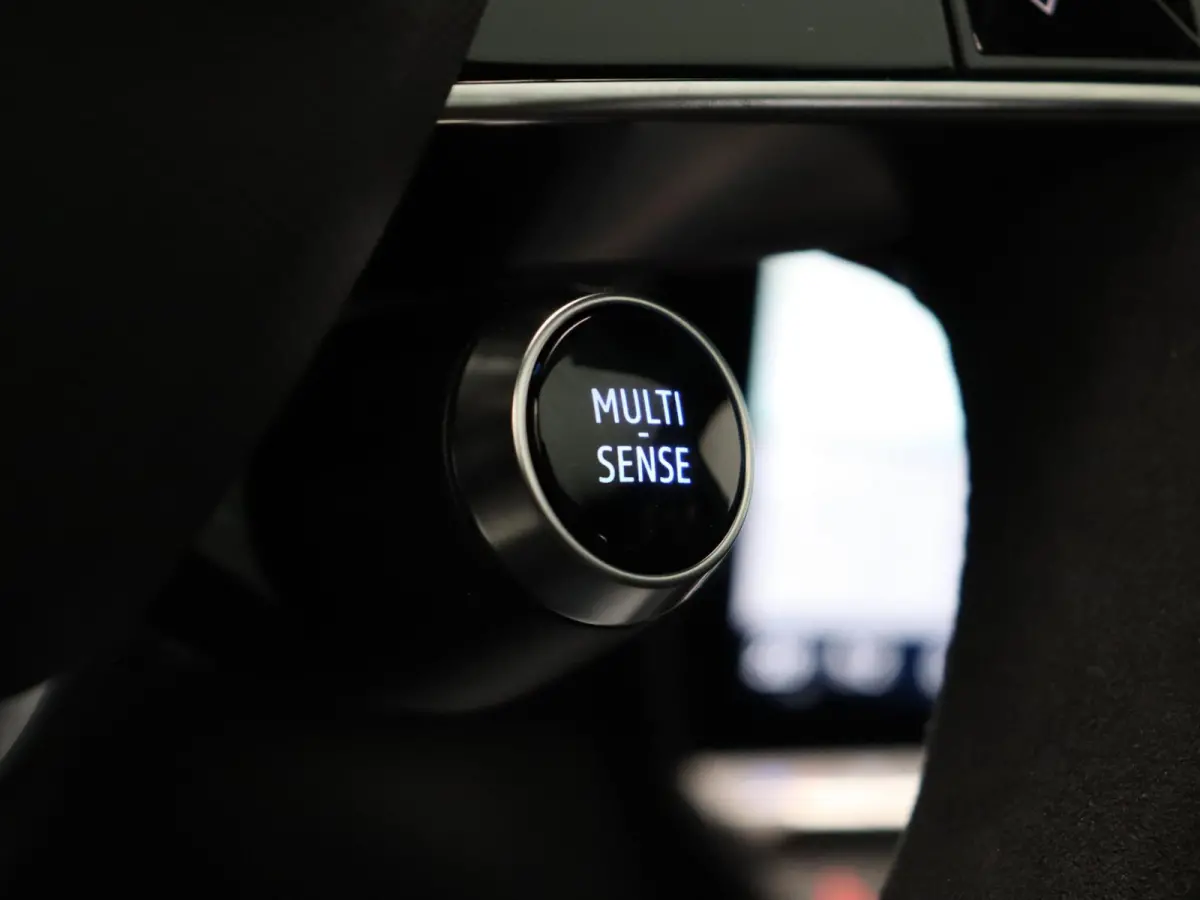 E-Tech full hybrid 200pk esprit Alpine | Vijf jaar garantie | Panoramisch dak | Harman Kardon | HUD |