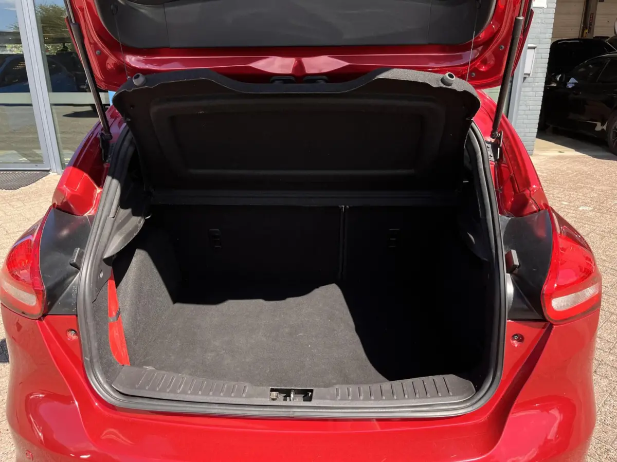 1.0 ST-Line 125PK Cruise Navi Carplay Climate Parkeersensoren Parkeer Assistent 18'' Velgen Privacy Glass *Sportief*