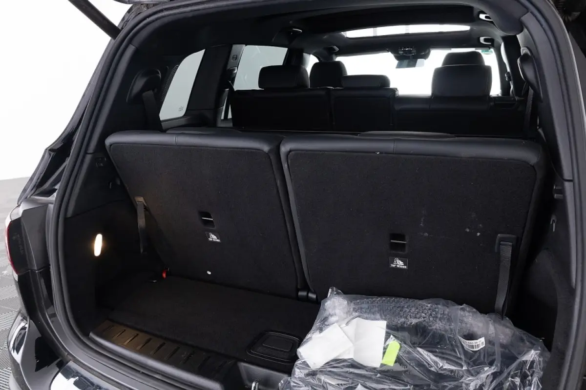 250 AMG Line 67kwh 7-PERSOONS | PANORAMA | AMBIENT LIGHT | SOH:99,4% | !