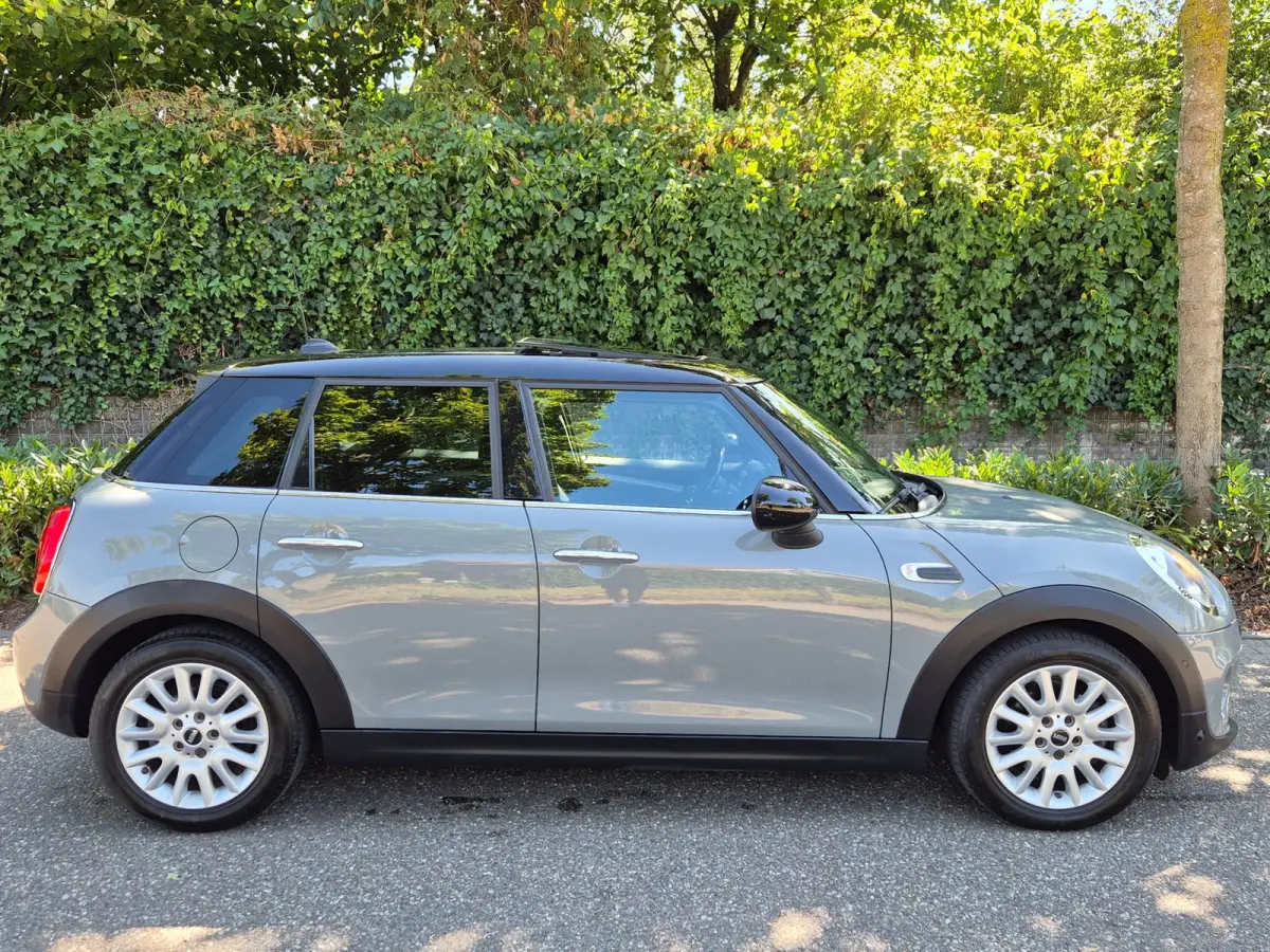 1.5 Salt Automaat Panorama 2-kleur comb. Navigatie PDC NAP 1.5 Cooper Salt Business