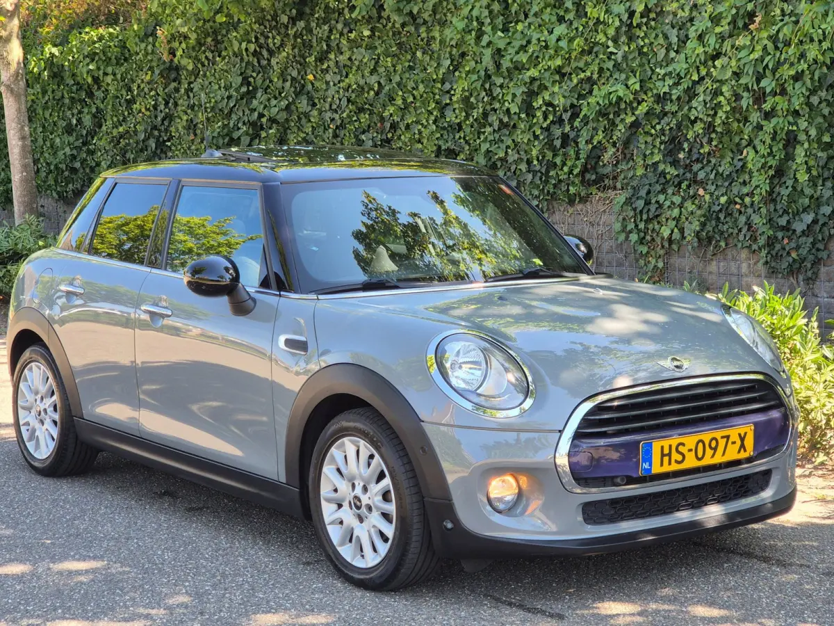 1.5 Salt Automaat Panorama 2-kleur comb. Navigatie PDC NAP 1.5 Cooper Salt Business