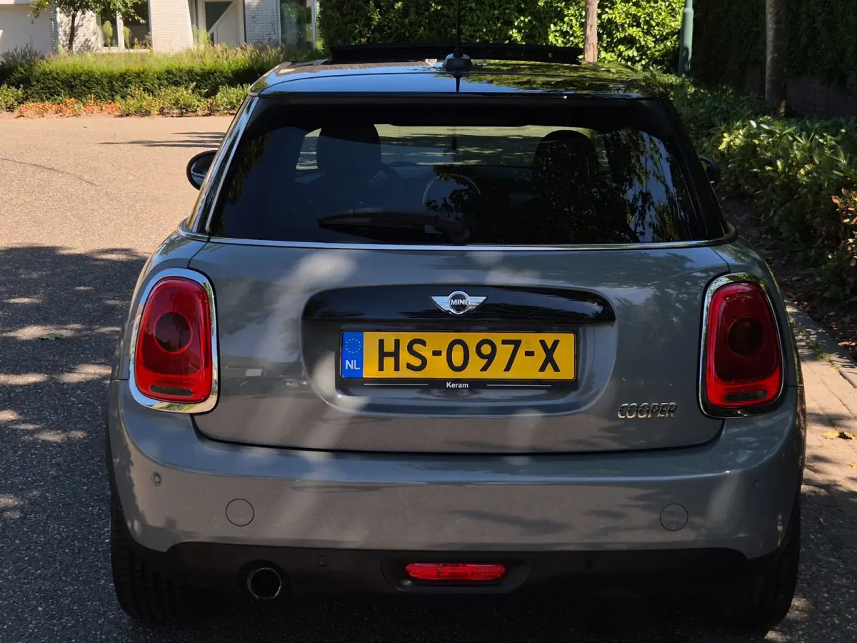 1.5 Salt Automaat Panorama 2-kleur comb. Navigatie PDC NAP 1.5 Cooper Salt Business