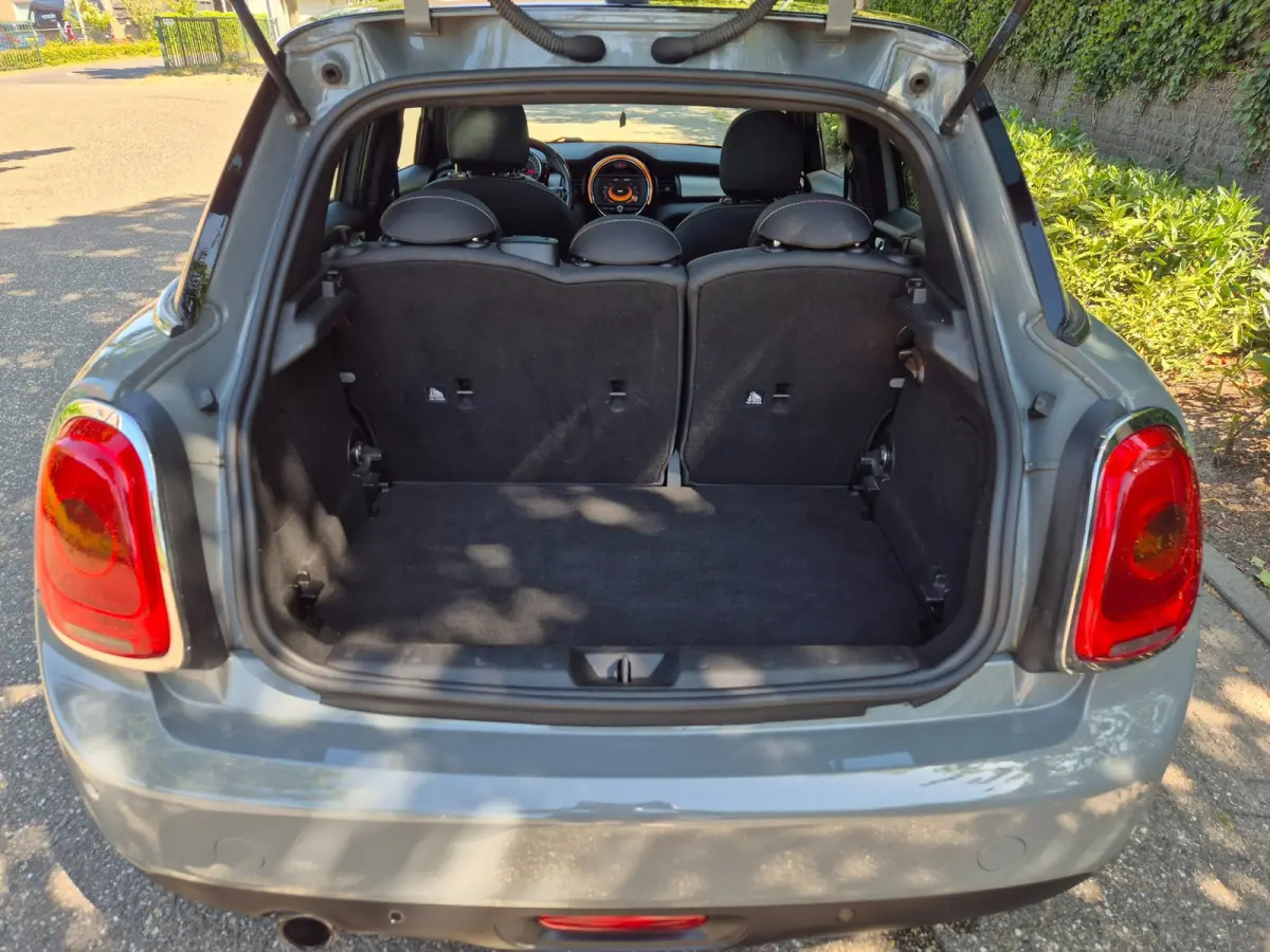 1.5 Salt Automaat Panorama 2-kleur comb. Navigatie PDC NAP 1.5 Cooper Salt Business