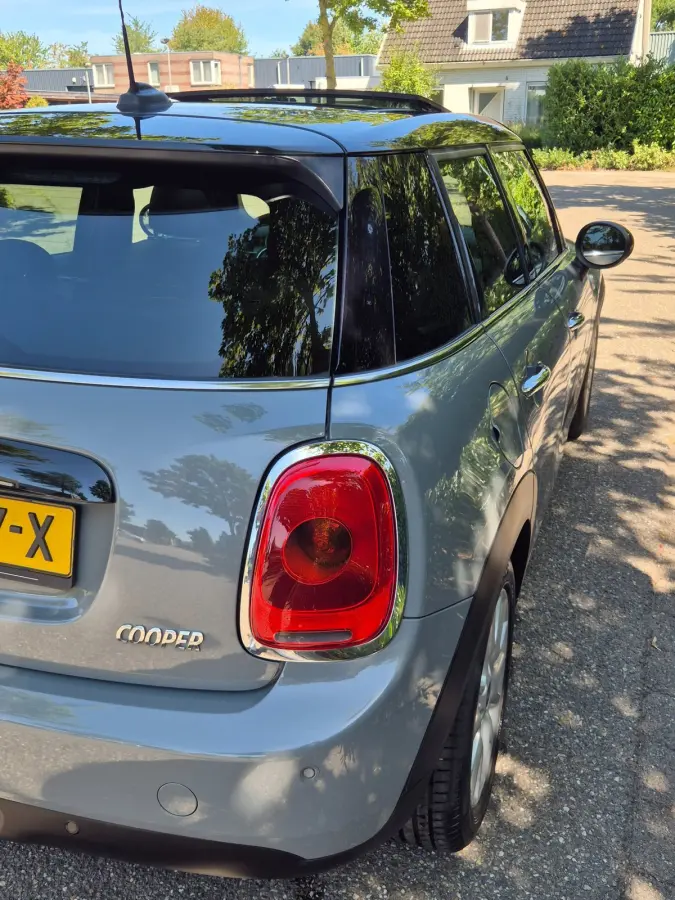 1.5 Salt Automaat Panorama 2-kleur comb. Navigatie PDC NAP 1.5 Cooper Salt Business