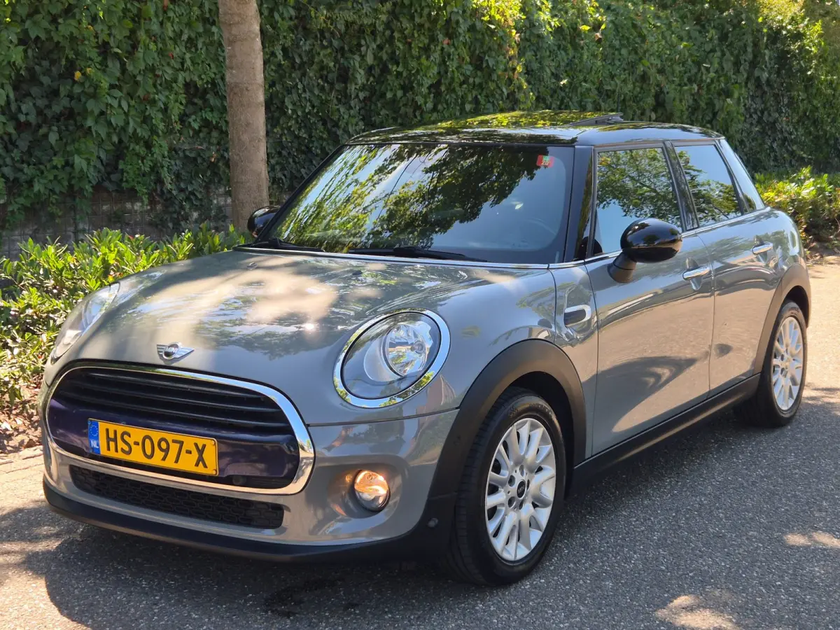 1.5 Salt Automaat Panorama 2-kleur comb. Navigatie PDC NAP 1.5 Cooper Salt Business