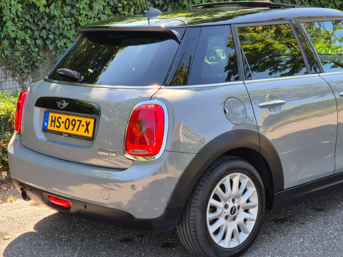 1.5 Salt Automaat Panorama 2-kleur comb. Navigatie PDC NAP 1.5 Cooper Salt Business