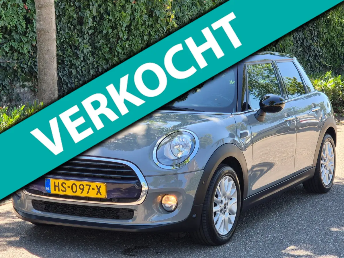 1.5 Salt Automaat Panorama 2-kleur comb. Navigatie PDC NAP 1.5 Cooper Salt Business