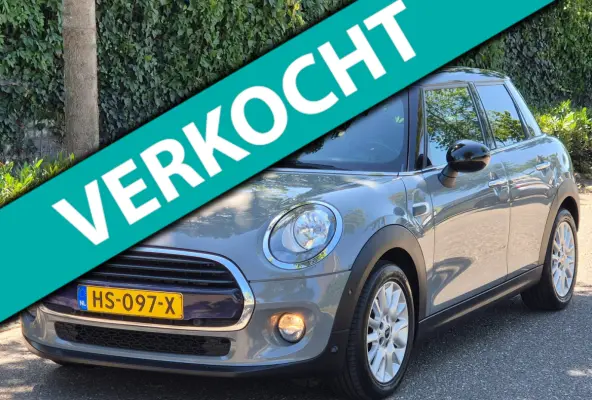 1.5 Salt Automaat Panorama 2-kleur comb. Navigatie PDC NAP 1.5 Cooper Salt Business