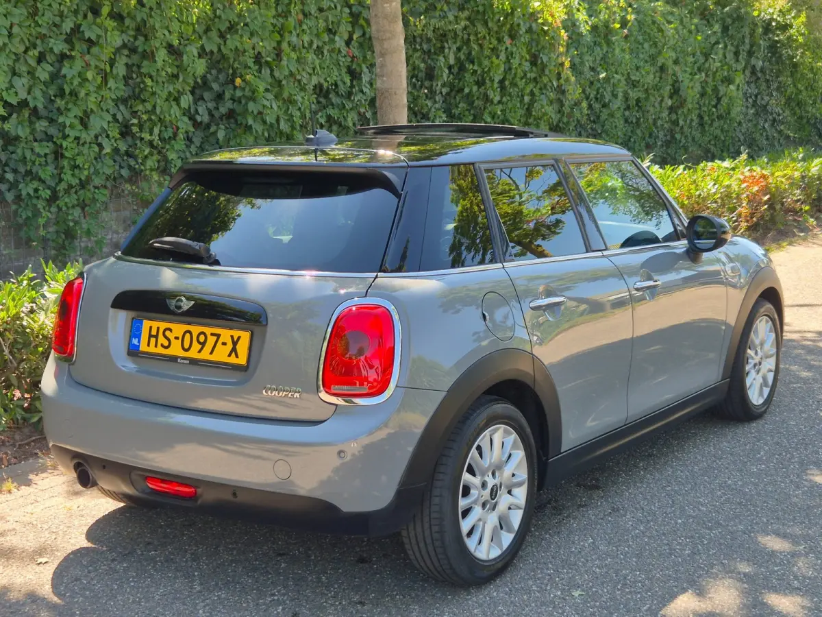 1.5 Salt Automaat Panorama 2-kleur comb. Navigatie PDC NAP 1.5 Cooper Salt Business