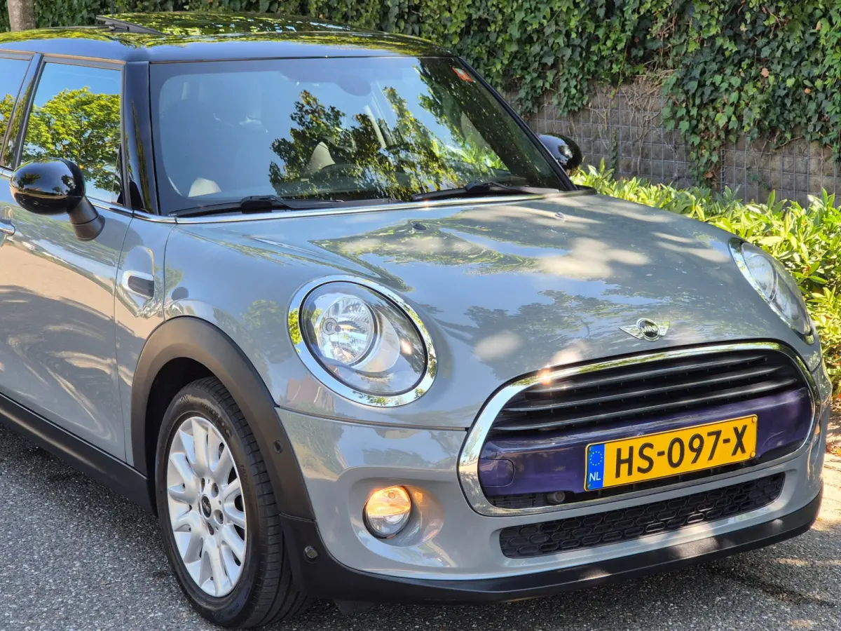 1.5 Salt Automaat Panorama 2-kleur comb. Navigatie PDC NAP 1.5 Cooper Salt Business