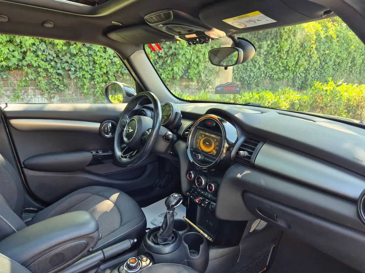 1.5 Salt Automaat Panorama 2-kleur comb. Navigatie PDC NAP 1.5 Cooper Salt Business