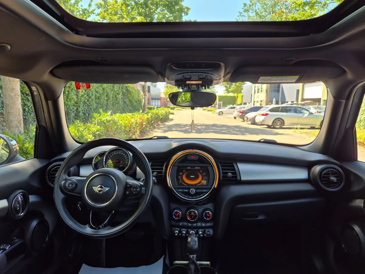 1.5 Salt Automaat Panorama 2-kleur comb. Navigatie PDC NAP 1.5 Cooper Salt Business