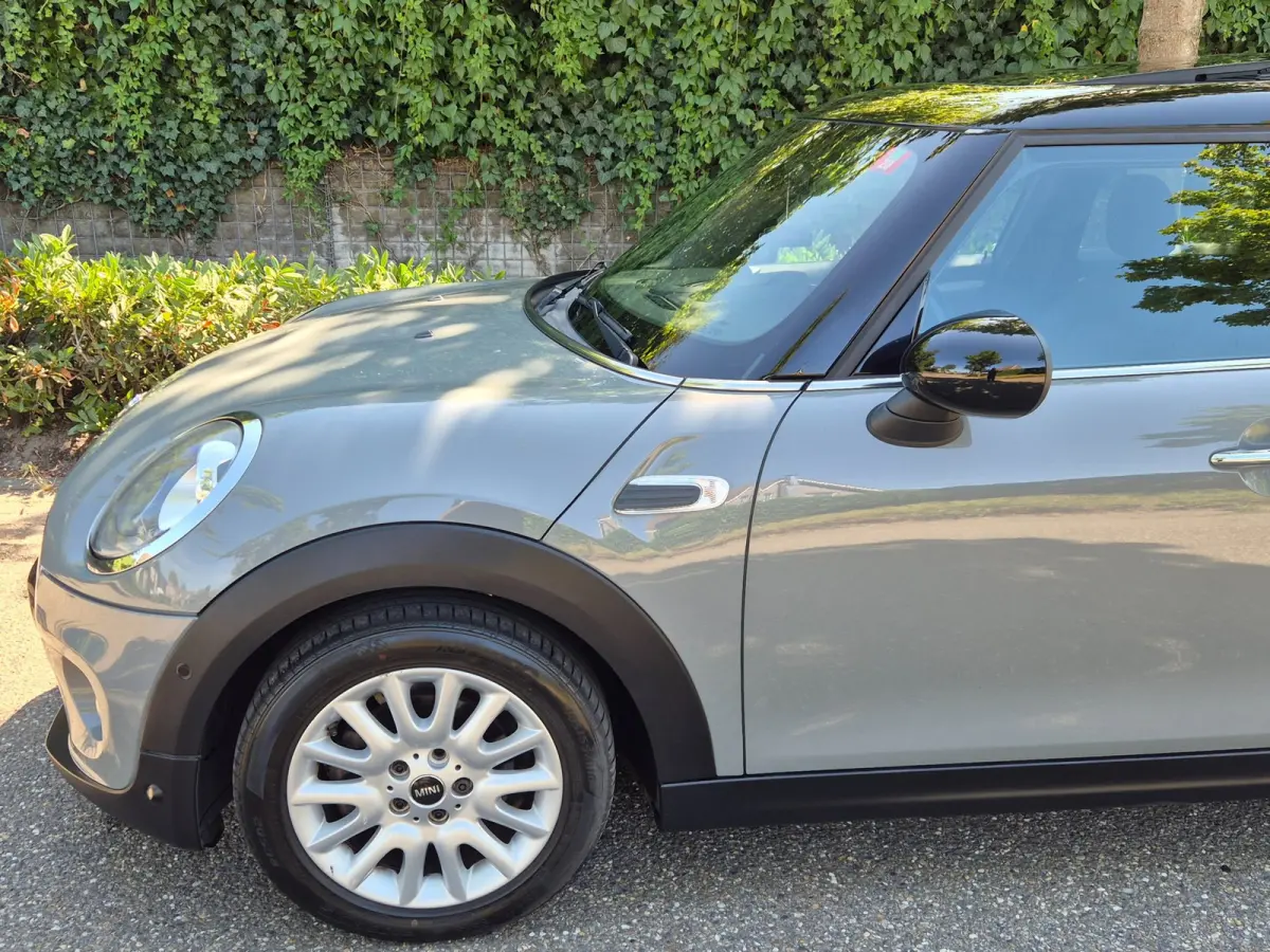 1.5 Salt Automaat Panorama 2-kleur comb. Navigatie PDC NAP 1.5 Cooper Salt Business