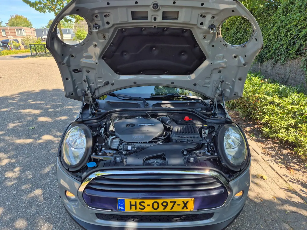 1.5 Salt Automaat Panorama 2-kleur comb. Navigatie PDC NAP 1.5 Cooper Salt Business