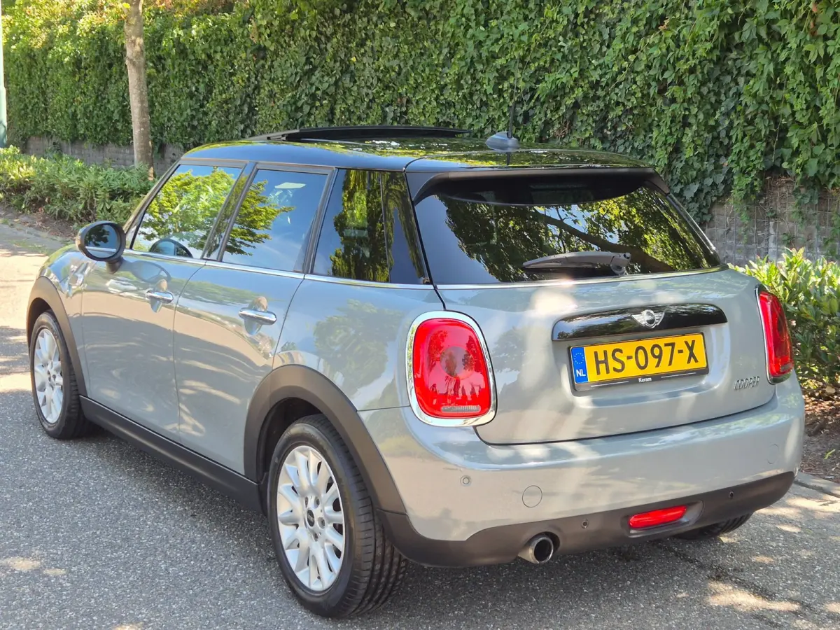 1.5 Salt Automaat Panorama 2-kleur comb. Navigatie PDC NAP 1.5 Cooper Salt Business