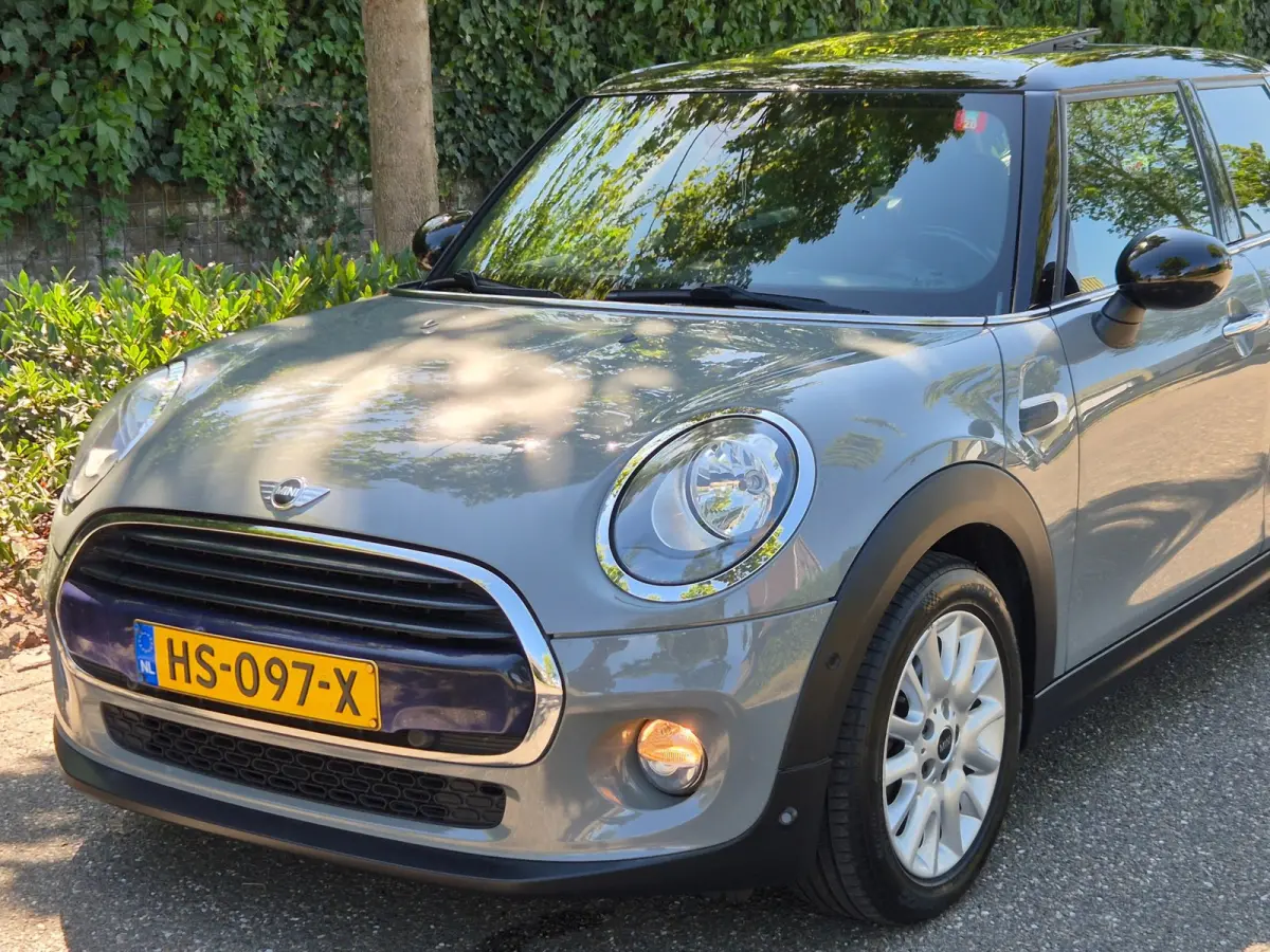 1.5 Salt Automaat Panorama 2-kleur comb. Navigatie PDC NAP 1.5 Cooper Salt Business
