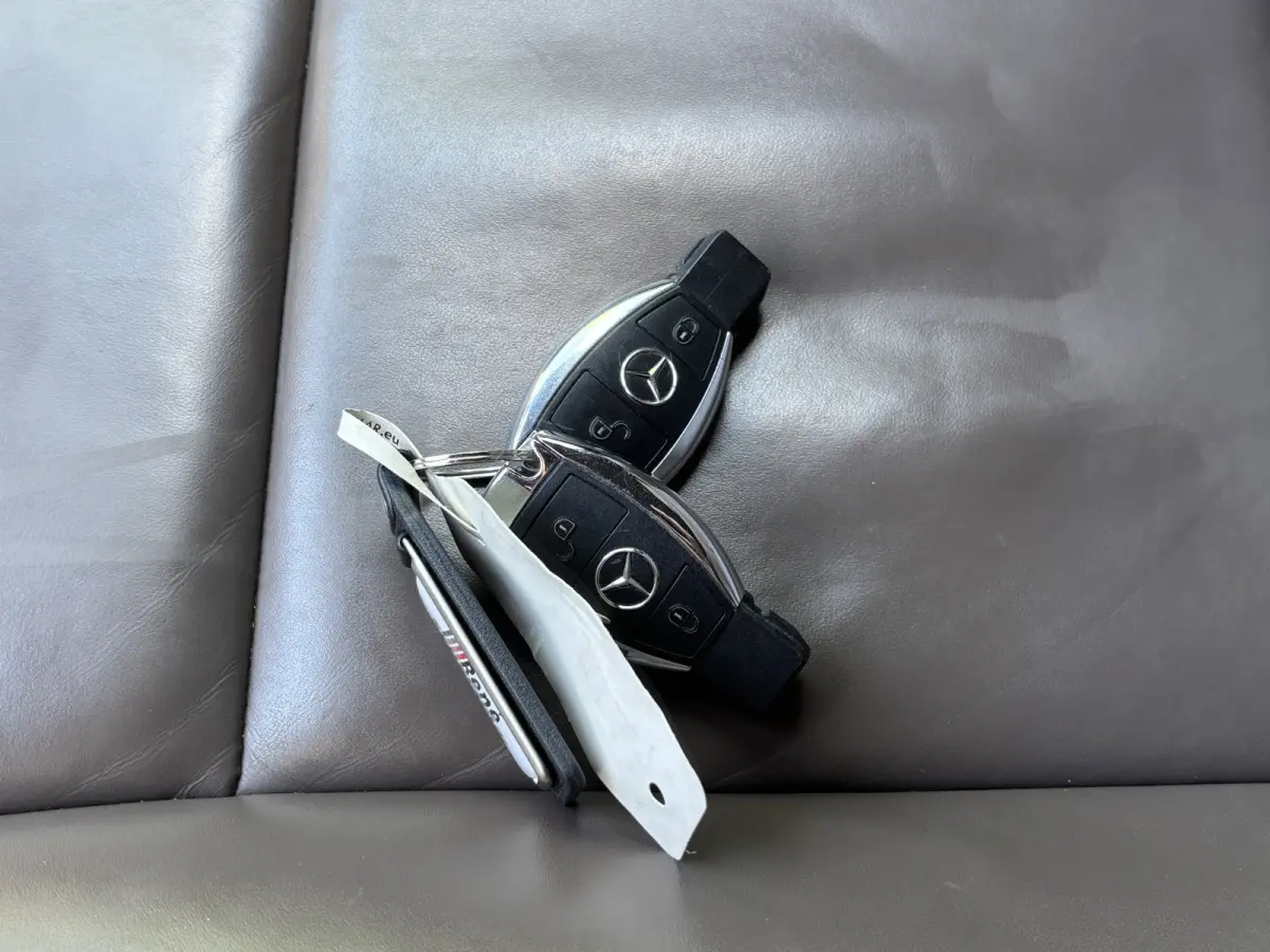 250d Extra Lang Avantgarde Edition | VIP | AMG Pakket | Sport onderstel
