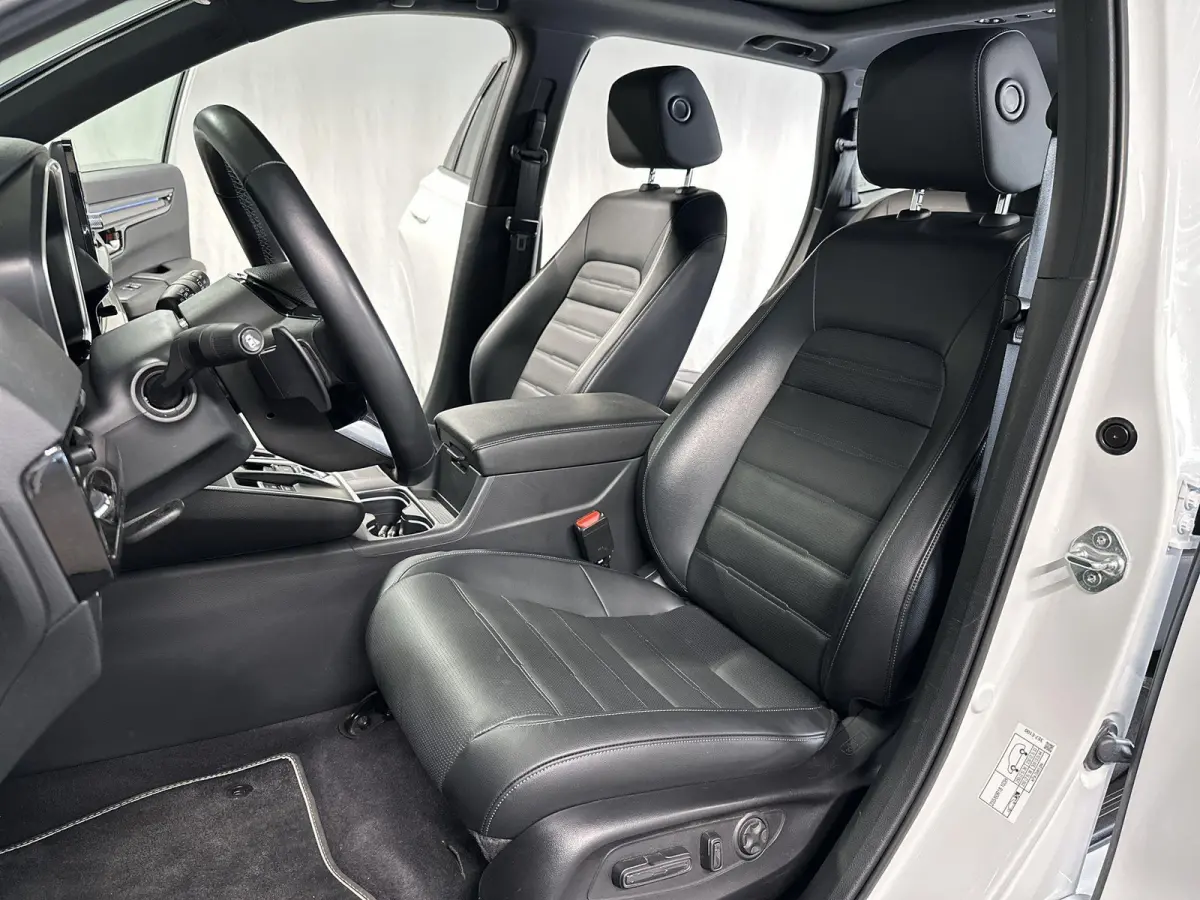 2.0 e:PHEV Advance Tech Automaat | Bose | 360Camera | SOH 100%