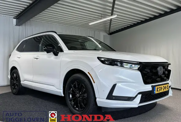 2.0 e:PHEV Advance Tech Automaat | Bose | 360Camera | SOH 100%