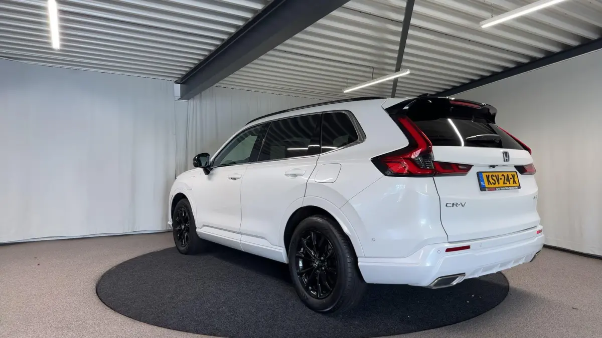 2.0 e:PHEV Advance Tech Automaat | Bose | 360Camera | SOH 100%