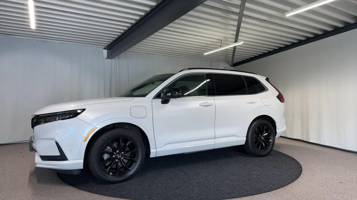 2.0 e:PHEV Advance Tech Automaat | Bose | 360Camera | SOH 100%